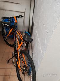 bici da uomo o donna 