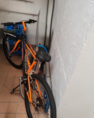 bici da uomo o donna 