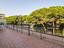 Immagine 11
