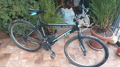 mountain bike
