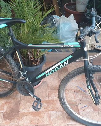 mountain bike