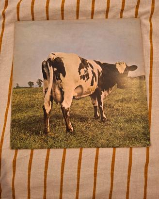 disco in vinile pink floyd