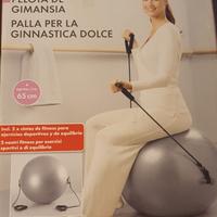 palla per ginnastica