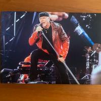 Quadro di Vasco Rossi