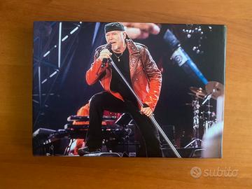 Quadro di Vasco Rossi