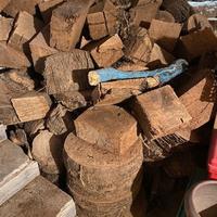 legna di Palma tagliata a dischi da ardere