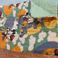 Trapunta singola Disney Caleffi