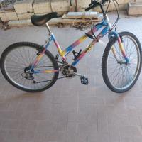 Bici Mountain bike 