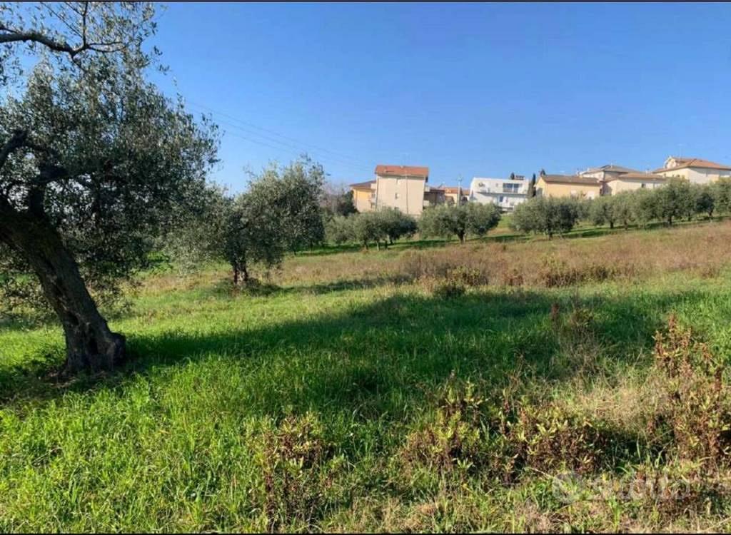Immobile in asta di 2560 m² a Sant'Elpidio a Mare - Vista 4