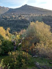 Terreno s'ena caddaris dorgali