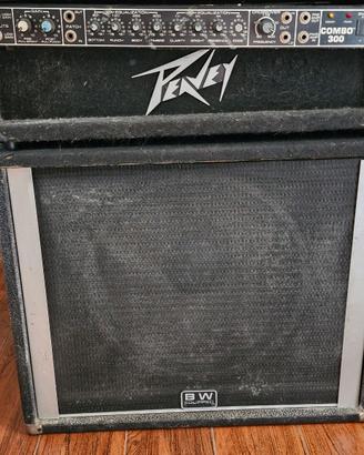 Cassa e testata Peavey Black Widow per basso