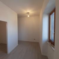 Rasatura, Pittura e Trattamenti Anti-Muffa