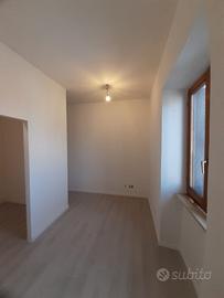 Rasatura, Pittura e Trattamenti Anti-Muffa