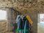 Immagine 25