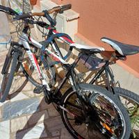Bici usate 60 euro entrambi