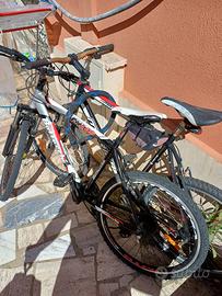 Bici usate 60 euro entrambi