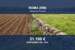 Immobile in asta di 24959 m² a Roma