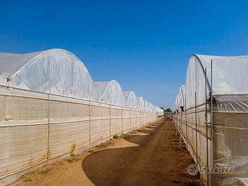 Azienda agricola in buone condizioni