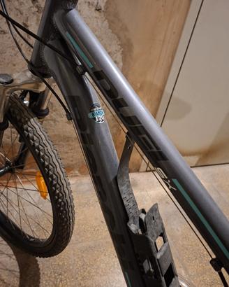 Mtb Bianchi