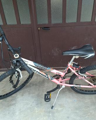 Bicicletta per ragazze