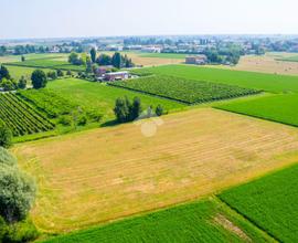 TER. AGRICOLO A REGGIO NELL'EMILIA