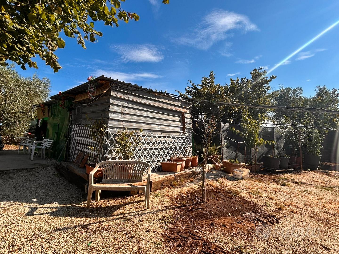 Terreno 6.400 mq - pozzo -200 nocciole + olivi - Altro