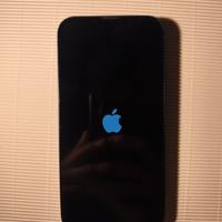 IPhone 13 consegna gratuita