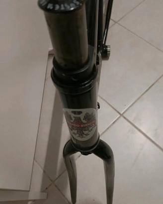 telaio BDC vintege
