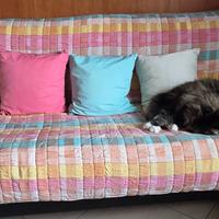 Divano letto matrimoniale