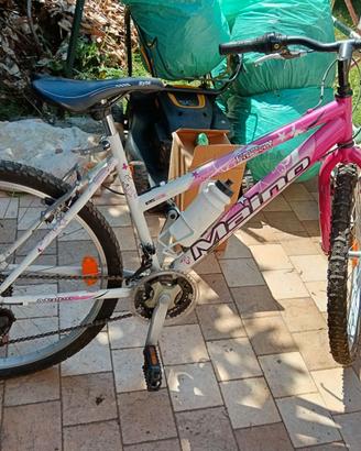 Bicicletta MTB