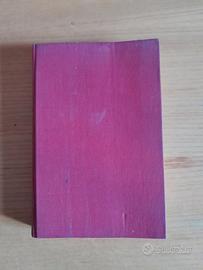 Pier Paolo Pasolini teorema 