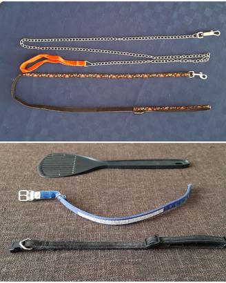 set 2 collari e guinzagli gatti + paletta