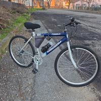 bici da uomo