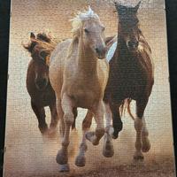 Puzzle cavalli