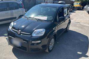 Fiat Panda 1.2 EasyPower GPL 2024 USATO