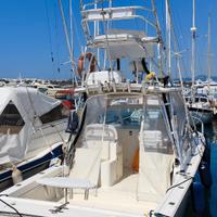 Albemarle 280 express Diesel