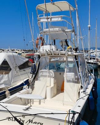 Albemarle 280 express Diesel