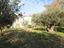 Immagine 25