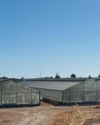 Serre per attività agricola Pula (Ca)