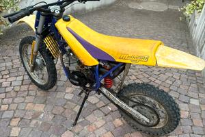 MINIMOTO MALAGUTI GRIZZLY 12 50cc