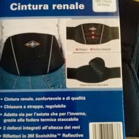 Cintura renale