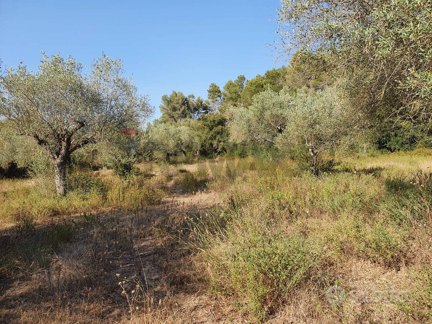 Terreno - Caltagirone - Vista 3