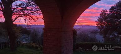 Appartamento piano terra