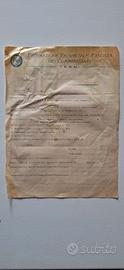 Documento Fascista Commercianti Terni Epoca
