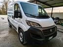 fiat-ducato-tetto-basso-passo-corto