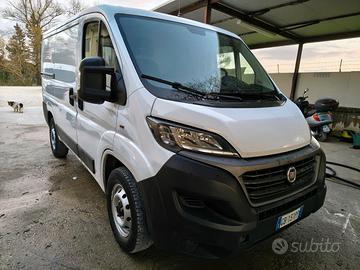 FIAT DUCATO TETTO BASSO PASSO CORTO