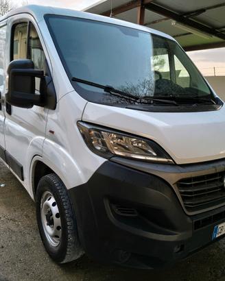 FIAT DUCATO TETTO BASSO PASSO CORTO
