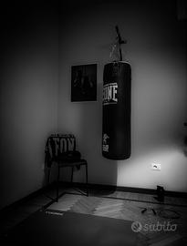 Sacco da Boxe Leone 1947🇮🇹