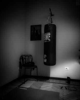 Sacco da Boxe Leone 1947🇮🇹