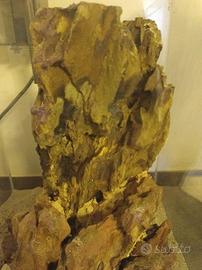 dragon stone